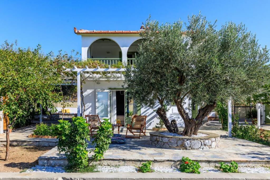 Nina-Myrtia Countryside House Skopelos Ditropo Zewnętrze zdjęcie